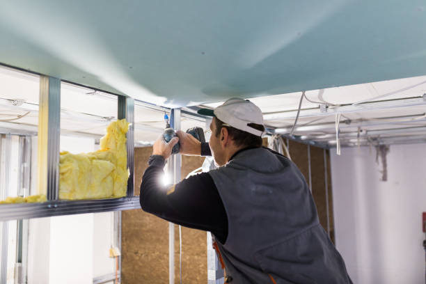 Best Insulation Contractors for Homes  in Mount Sterling, OH